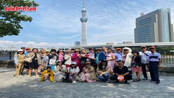 Tour Nhật Bản 6N5Đ: Từ HCM - Tokyo - Yamanashi - Kyoto - Osaka - Nagoya, Bay Vietnam Airlines + KS 3-4* - Image - 5955