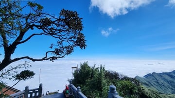 Tour Miền Bắc 5N4Đ: HCM - Hà Nội - Sapa - Ninh Bình - Hạ Long, VMB khứ hồi + KS 3* - Khởi Hành Hàng Tuần - Image - 6101