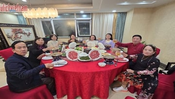 Tour Trung Quốc 5N4Đ: Từ HCM - Thượng Hải - Ô Trấn - Disneyland, Bay Juneyao Airlines + KS 4-5*, Hành trình KHÔNG SHOPPING - Image - 5799