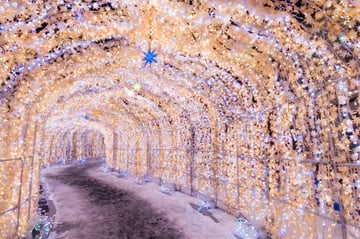 GDAY WINTER JAPAN HOKKAIDO + RUSUTSU SKI RESORT - Image - 1133