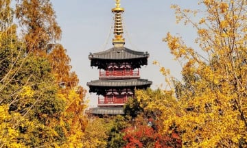 BẮC KINH – TÔ CHÂU - HÀNG CHÂU -Ô TRẤN THƯỢNG HẢI - Image - 3460