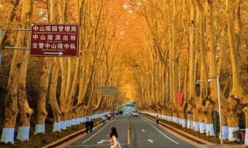 HÀNG CHÂU – THƯỢNG HẢI               Ô TRẤN – NAM KINH - Image - 3467