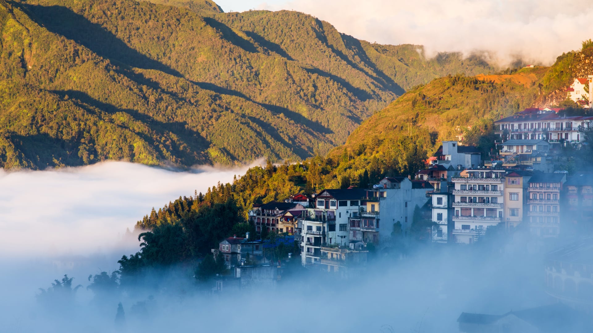 FAVORITE VIETNAM FANSIPAN MOUNTAIN + HALONG BAY & SAIGON RIVER CRUISE - Image - 719