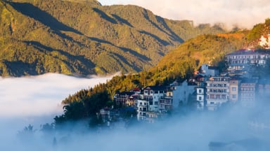 FAVORITE VIETNAM FANSIPAN MOUNTAIN + HALONG BAY & SAIGON RIVER CRUISE - Image - 719