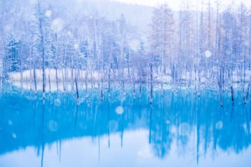 CHARTER VIETNAM AIRLINES HOKKAIDO 2026:  ASAHIKAWA - LỄ HỘI TUYẾT - SAPORO - OATARU - NOBORIBETSU - Image - 3877