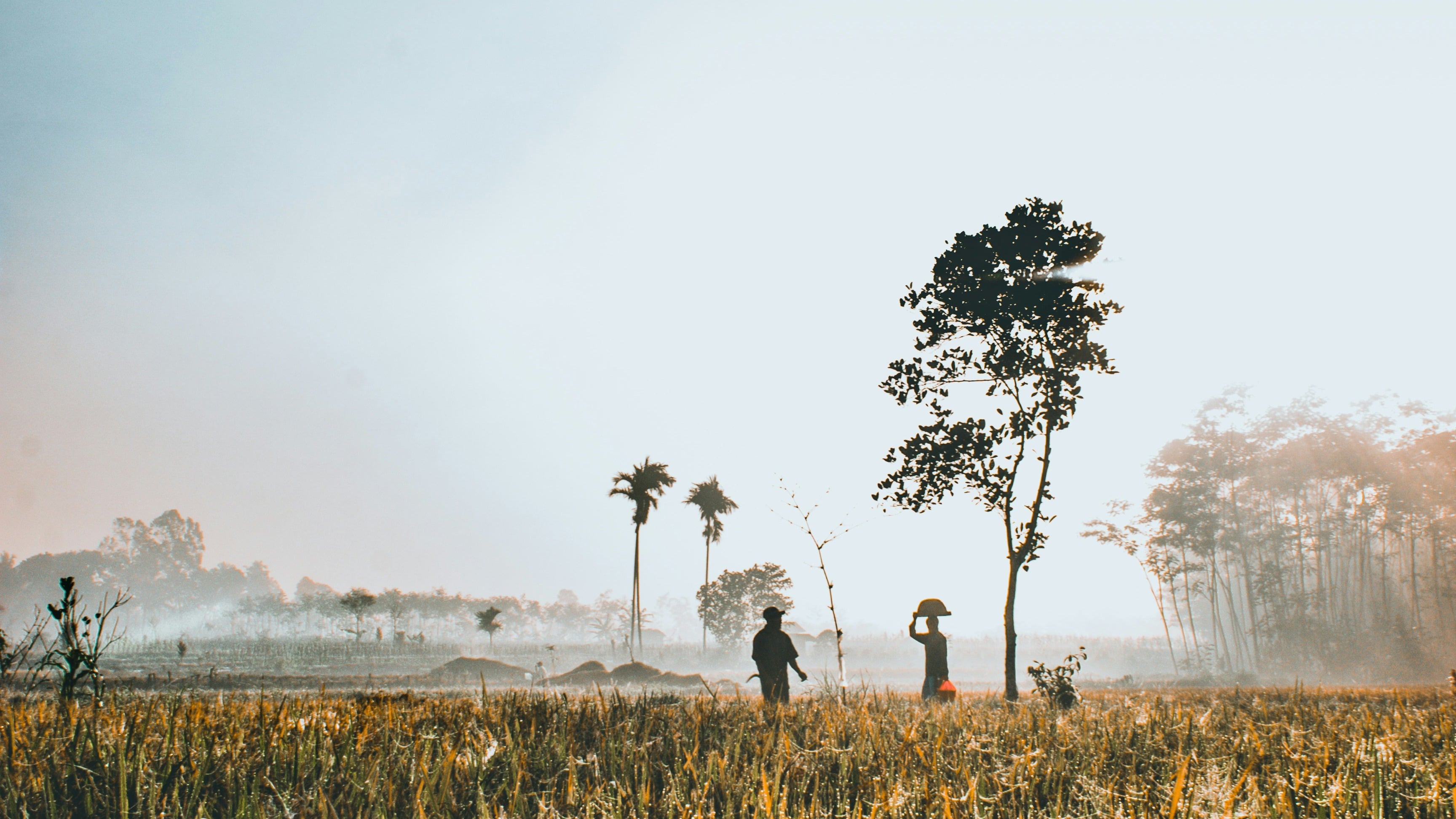 Paket 3 Hari Menginap Bersama Keluarga Ala  Lokal dengan Tur Pribadi - Image - 4657
