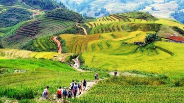 Tour Miền Bắc 5N4Đ: HCM - Hà Nội - Sapa - Ninh Bình - Hạ Long, VMB khứ hồi + KS 3* - Khởi Hành Hàng Tuần - Image - 6100