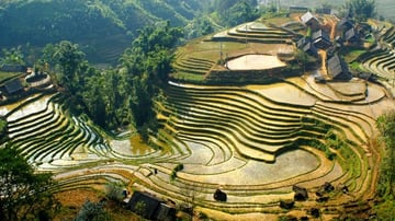 Tour Miền Bắc 5N4Đ: HCM - Hà Nội - Sapa - Ninh Bình - Hạ Long, VMB khứ hồi + KS 3* - Khởi Hành Hàng Tuần - Image - 6099