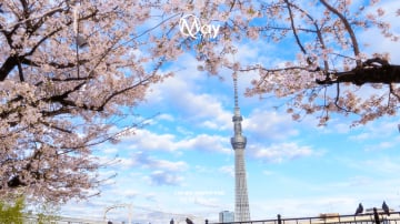 Tokyo – Mount Fuji Japan Discovery Tour 2025 - Image - 378