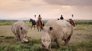 7-Day Private Safari in Kenya - Image - 10739