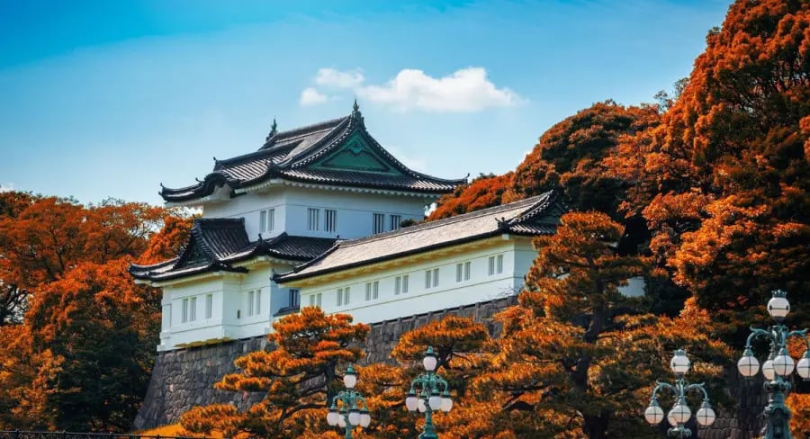 Summer Japan Tour: Tokyo - Hakone - Mount Fuji, from Saigon (Ho Chi Minh City) 2025 - Image - 544