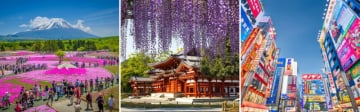 Japan Tour 5 Days 4 Nights: Yamanashi | Fuji | Tochigi | Tokyo | Narita - Image - 329