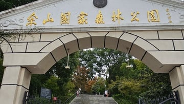 [4 ngày 3 đêm] Khám phá Quế Lâm - Dương Sóc (NOSHOPPING) - Image - 9758