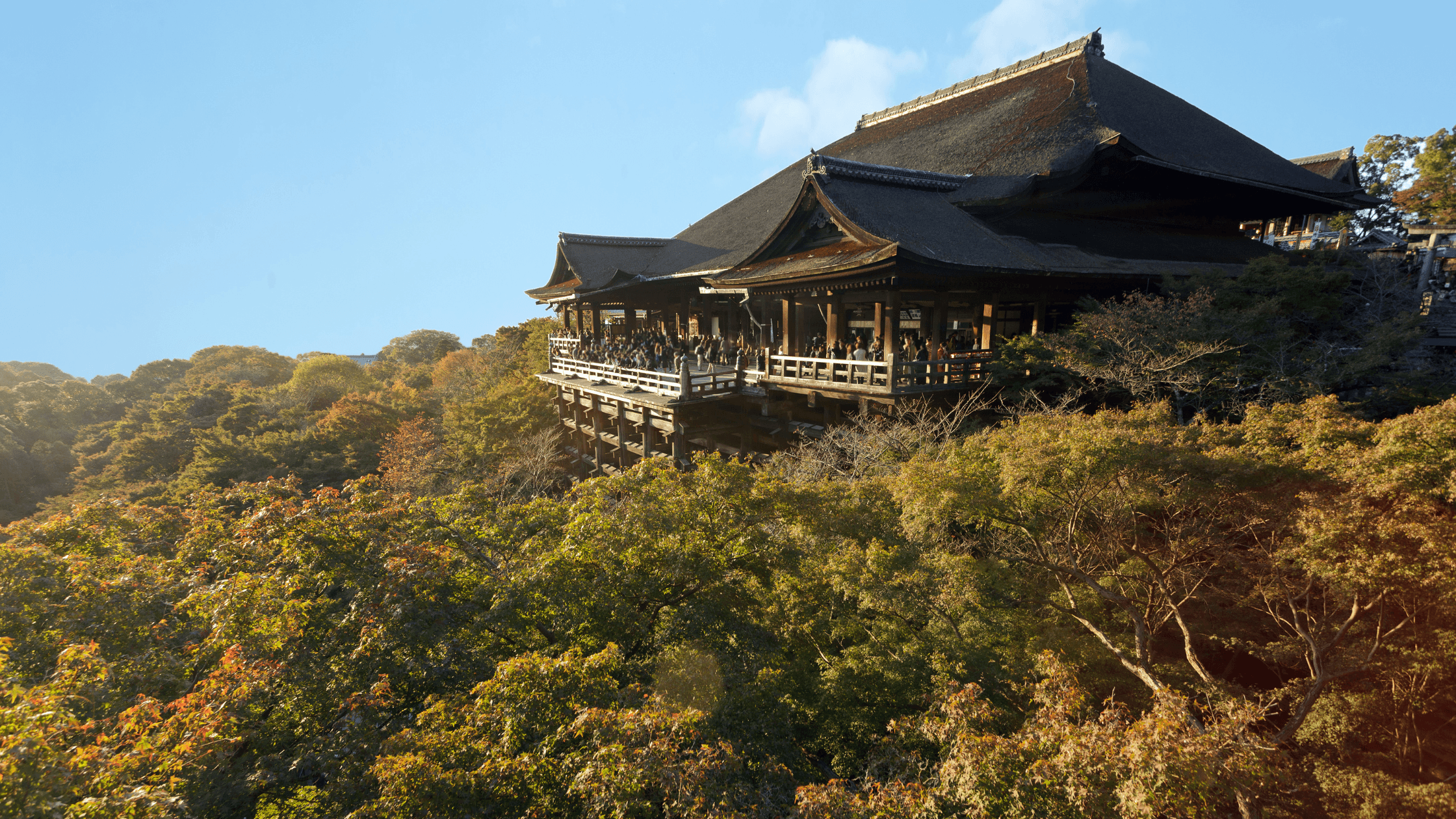 CUNG ĐƯỜNG VÀNG NHẬT BẢN 2025 NO SHOP: TOKYO – PHÚ SĨ – KYOTO – OSAKA - Image - 3098