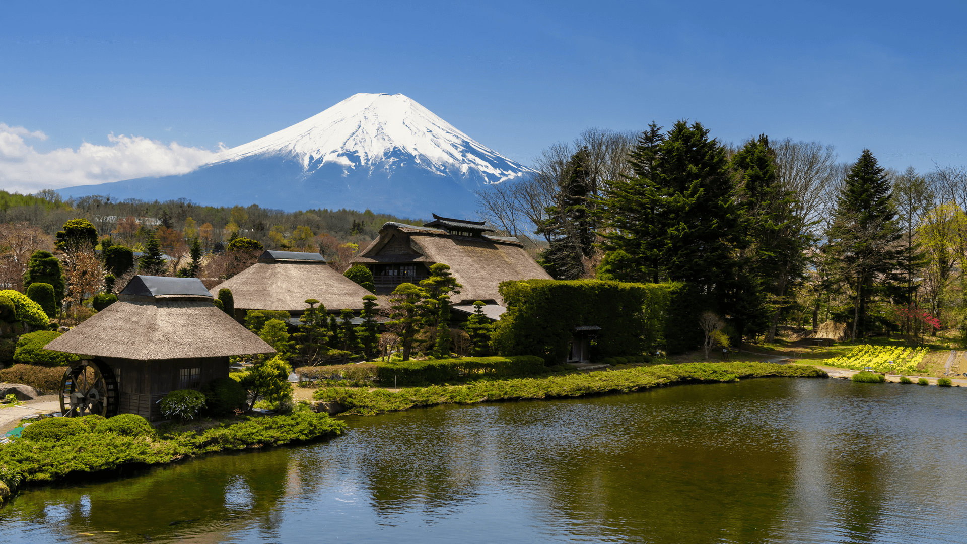 CUNG ĐƯỜNG VÀNG NHẬT BẢN 2025 NO SHOP: TOKYO – PHÚ SĨ – KYOTO – OSAKA - Image - 3097