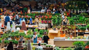 [TOUR NO SHOPPING] HÀ NỘI – CÔN MINH – NÚI TUYẾT KIỆU TỬ 4 NGÀY 4 ĐÊM - Image - 3088