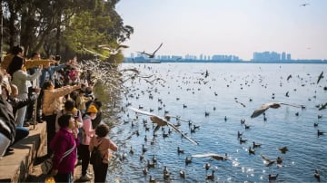 [TOUR NO SHOPPING] HÀ NỘI – CÔN MINH – NÚI TUYẾT KIỆU TỬ 4 NGÀY 4 ĐÊM - Image - 3081