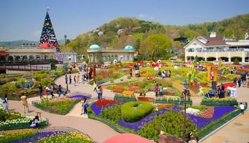 SEOUL - NAMI - EVERLAND - Image - 3843