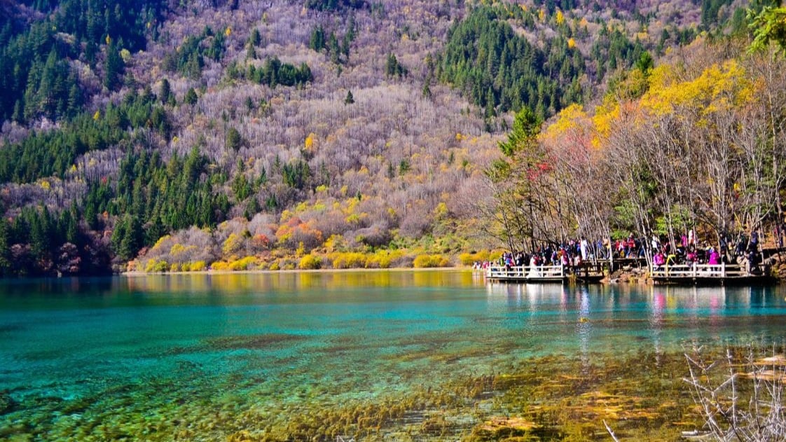 Tour Du Lịch Trung Quốc 6N5Đ: Thành Đô - Công Viên Gấu Trúc - Cửu Trại Câu - Lạc Sơn Đại Phật