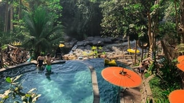 Kintamani Tour - Image - 12102