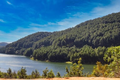 Da Lat 3 Days 2 Nights Tour: From Da Nang to Da Lat - The Land of Pine Trees The Land of Pine Trees  - Image - 136