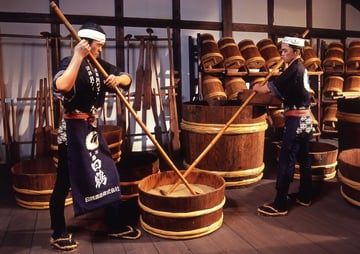 Autumn Colors of Japan: Osaka – Kobe – Kyoto – Toyohashi – Fuji – Tokyo - Image - 557