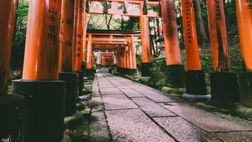 Tour Nhật Bản 6N5Đ: Từ HCM - Tokyo - Yamanashi - Kyoto - Osaka - Nagoya, Bay Vietnam Airlines + KS 3-4* - Image - 5997