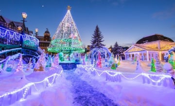 NHẬT BẢN MÙA ĐÔNG: HOKKAIDO - MIỀN TUYẾT TRẮNG THẦN TIÊN - Image - 1251
