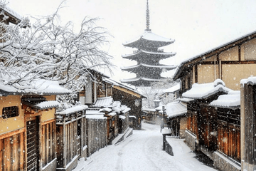 Tour Tết dương lịch 2026: KOBE - FUKUI - KANAZAWA -  SHIRAKAWAGO - KYOTO - Image - 3856