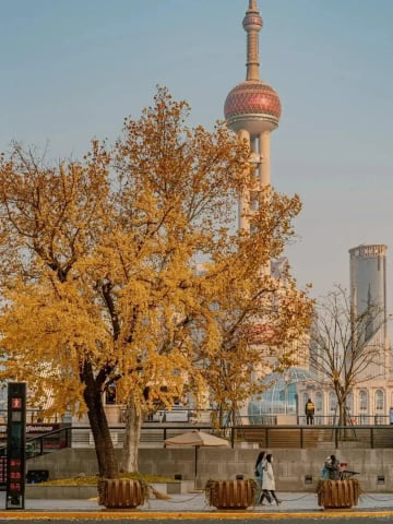 [TOUR NO SHOPPING] THƯỢNG HẢI - TÂY Ô TRẤN 4 NGÀY 4 ĐÊM - Image - 3316