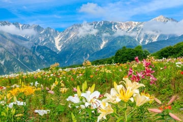 Japan Tour 2025: Nagoya - Kamikochi - Yamanashi - Fuji - Tokyo - Image - 309