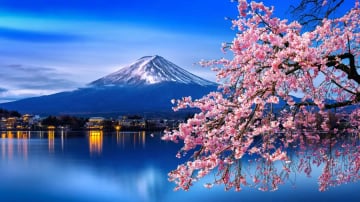 Japan – Double Cherry Blossom Tour 2024 - Image - 408