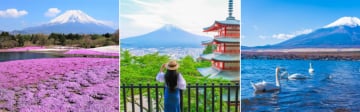 Japan Tour 5 Days 4 Nights: Yamanashi | Fuji | Tochigi | Tokyo | Narita - Image - 328
