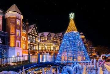 Tour Nhật Bản: Tận hưởng Hokkaido mùa đông 5 ngày 6 đêm từ TP.HCM - Tết Nguyên Đán 2026 - Image - 478