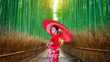 Autumn Japan Tour 2025: Osaka – Nara – Kyoto – Nagoya – Yamanashi – Tokyo - Image - 599