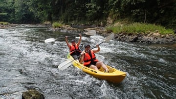 Semenggoh Wildlife Centre &amp; Bidayuh Longhouse Day Tour, Malaysia - Image - 11151