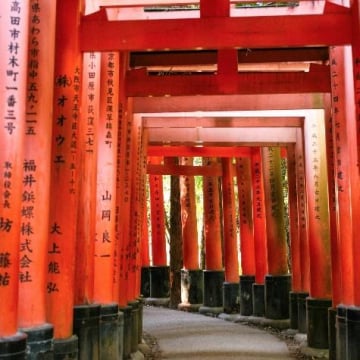 CUNG ĐƯỜNG VÀNG NHẬT BẢN 2025: NINJA SHOW - OSAKA – KYOTO – NAGOYA – PHÚ SĨ – TOKYO - Image - 1845