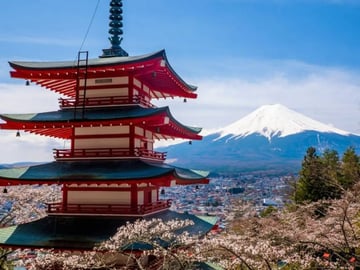 Japan Tour 5 Days 4 Nights: Yamanashi | Fuji | Tochigi | Tokyo | Narita - Image - 331