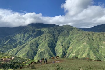 Moc Chau - Bach Long Glass Bridge - Tà Xùa Cloud Hunting 2N1D Tour from Hanoi - Image - 125