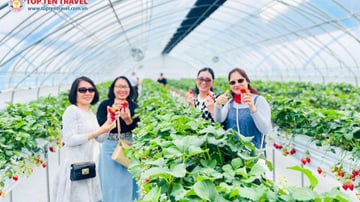 Tour Hàn Quốc Du Xuân: Seoul - Namsan - Lotte World 5N4D - Image - 6498