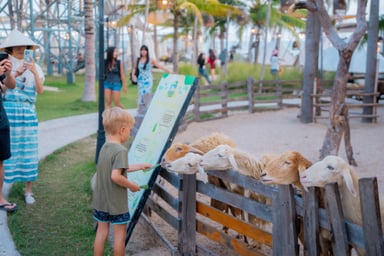 TOUR PHAN THIẾT - MŨI NÉ 2 NGÀY 1 ĐÊM - Image - 3920
