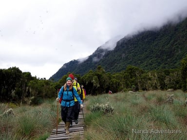 Discover Uganda on a 12-Day Journey from Tropical Glaciers to Chimps & Coffee - Image - 3667