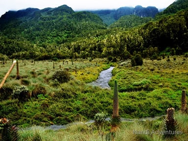 Discover Uganda on a 12-Day Journey from Tropical Glaciers to Chimps & Coffee - Image - 3669