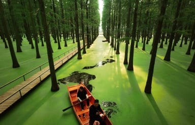 HÀ NỘI - THƯỢNG HẢI – HÀNG CHÂU - Ô TRẤN  OPTION DISNEYLAND - Image - 3582