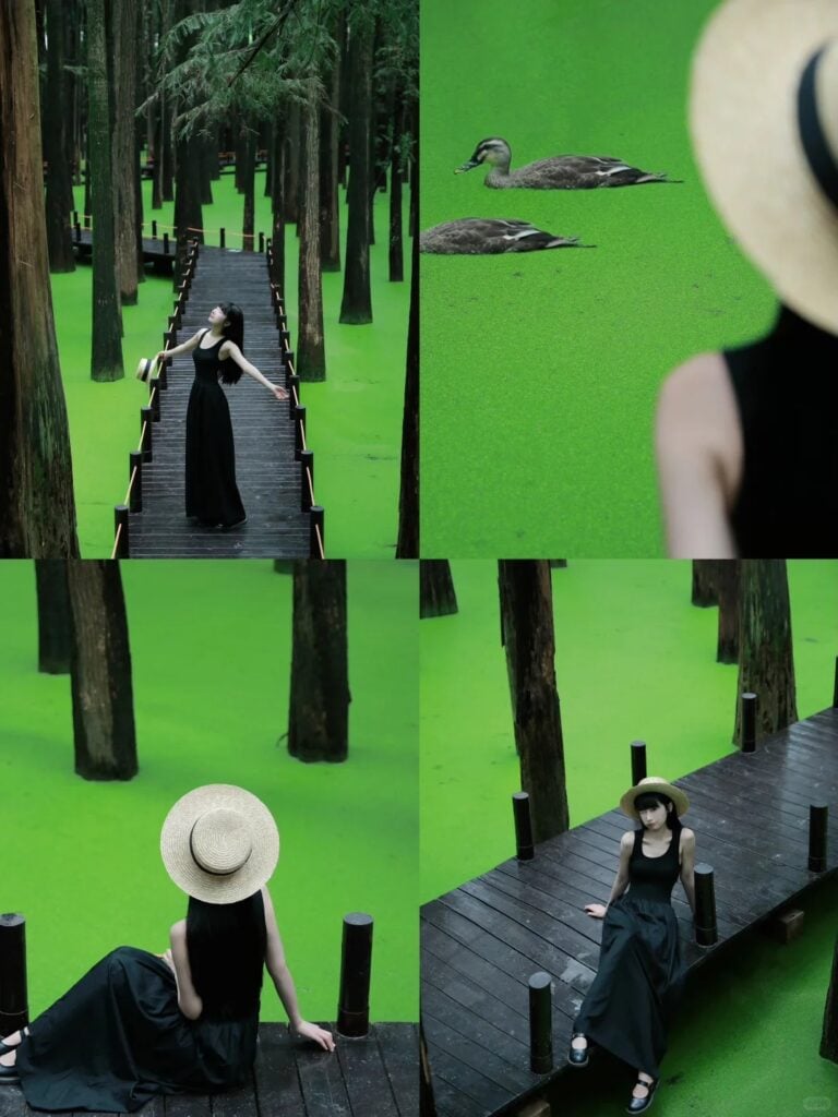 HOÀNG SƠN – HOÀNH THÔN – HÀNG CHÂU – Ô TRẤN TÂY SÁCH – THƯỢNG HẢI - Image - 2480