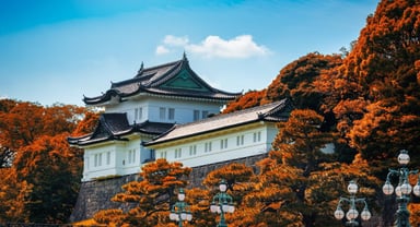 HÀ NỘI – TOKYO–  PHÚ SĨ  – KYOTO - OSAKA - Image - 3638