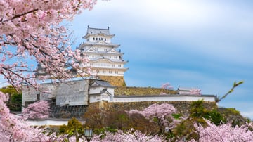 HÀ NỘI – GIFU – NAGOYA – KOBE – KYOTO – OSAKA 5N4Đ BAY VN - Image - 7222