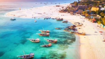 12 DAYS TANZANIA WILDLIFE TO ZANZIBAR BEACH ESCAPE - Image - 7631