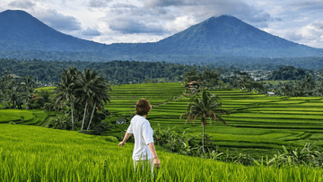 Jatiluwih Tanah Lot Tour - Image - 12167