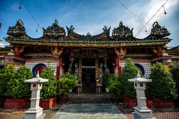 TOUR LÀNG HOA SA ĐÉC - QUÝT HỒNG LAI VUNG 1 NGÀY - Image - 4266